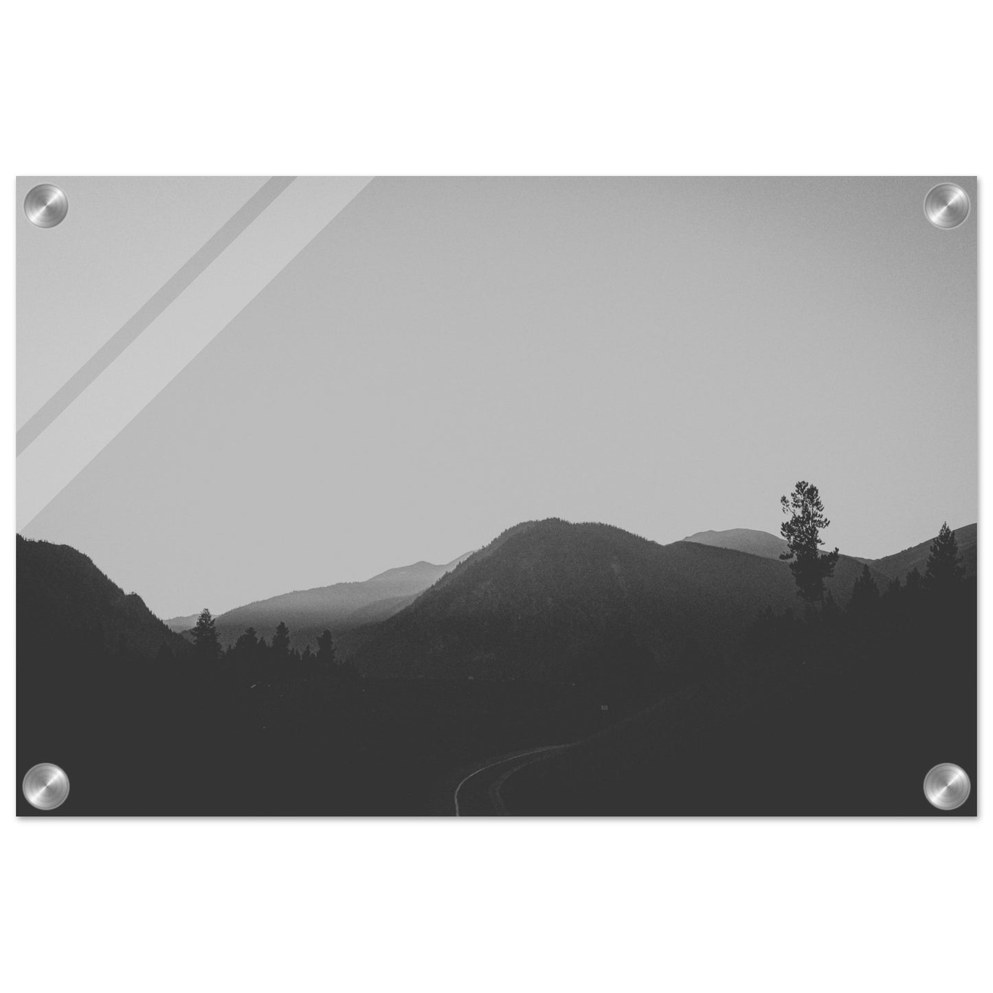 13a9a1cc-7b93-45c9-9db8-2313d5c3aeb9