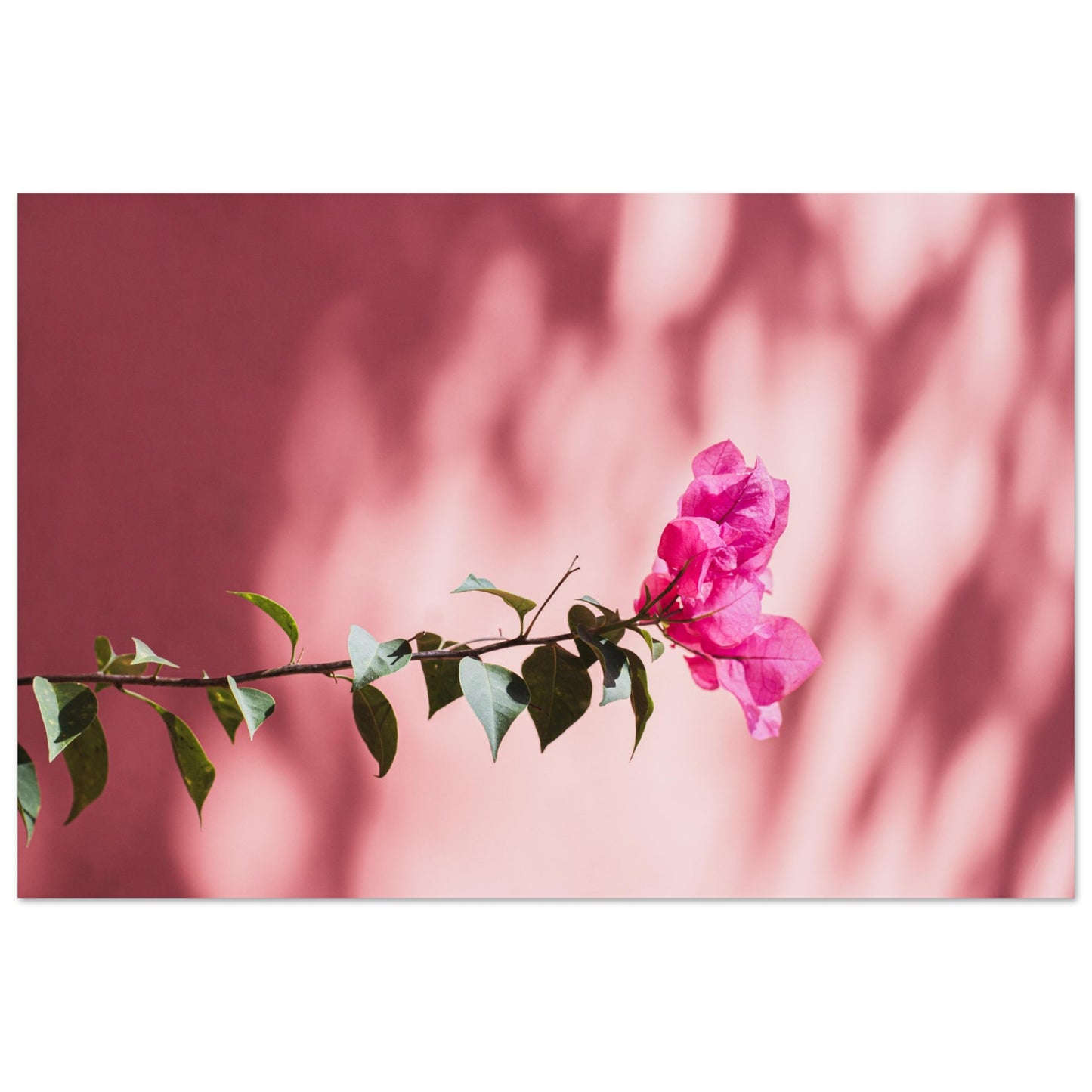 1cc15dde-45b7-428a-9005-cf1b2d1bff6d