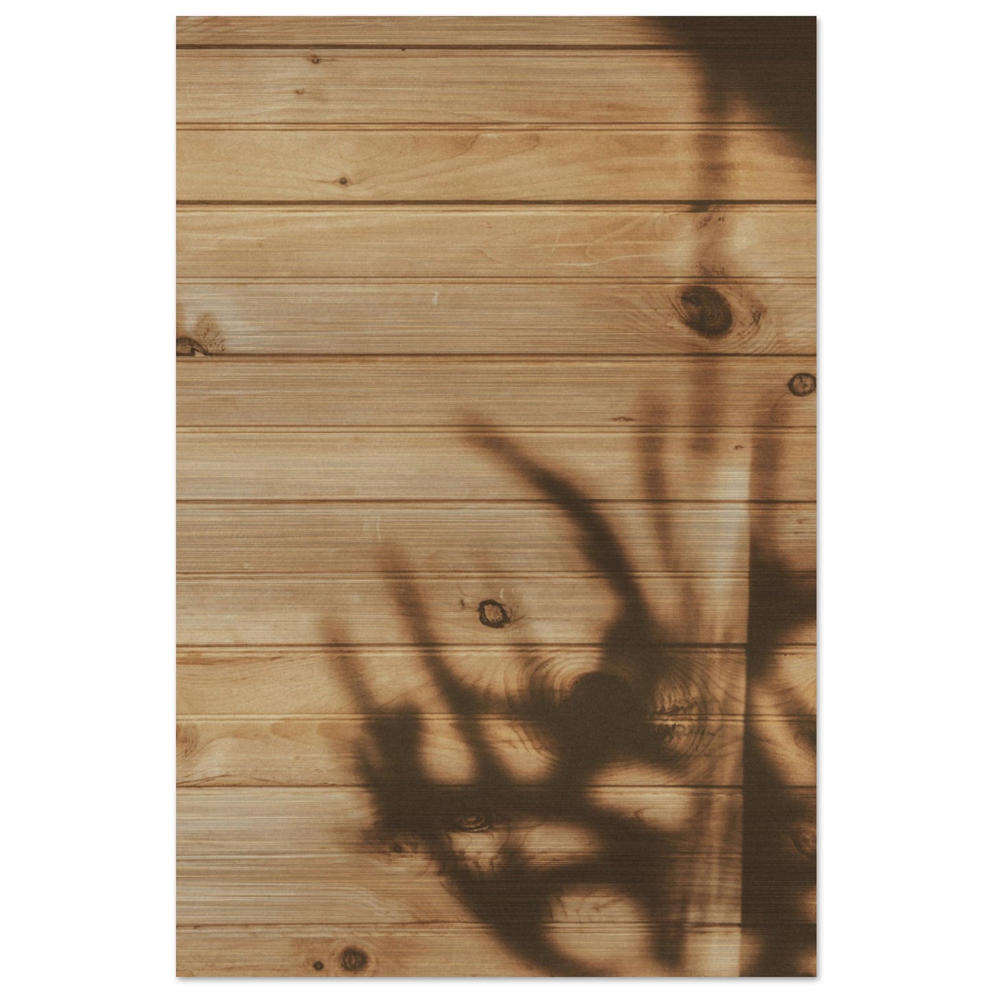 2d1f4416-54f6-49c3-a406-3b451e1f90bc