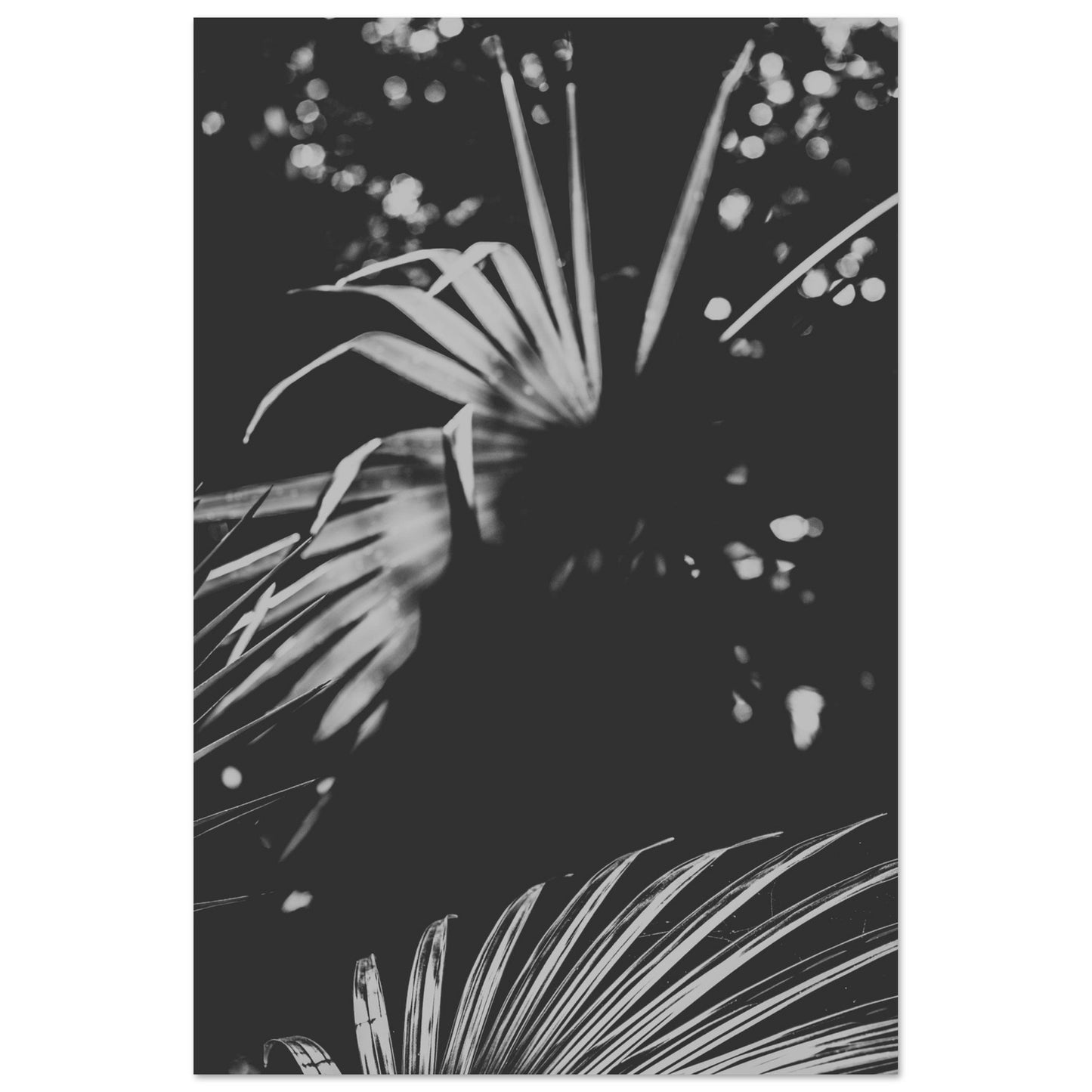 6c8a2ce9-fcb9-45c8-870b-821060a4d361