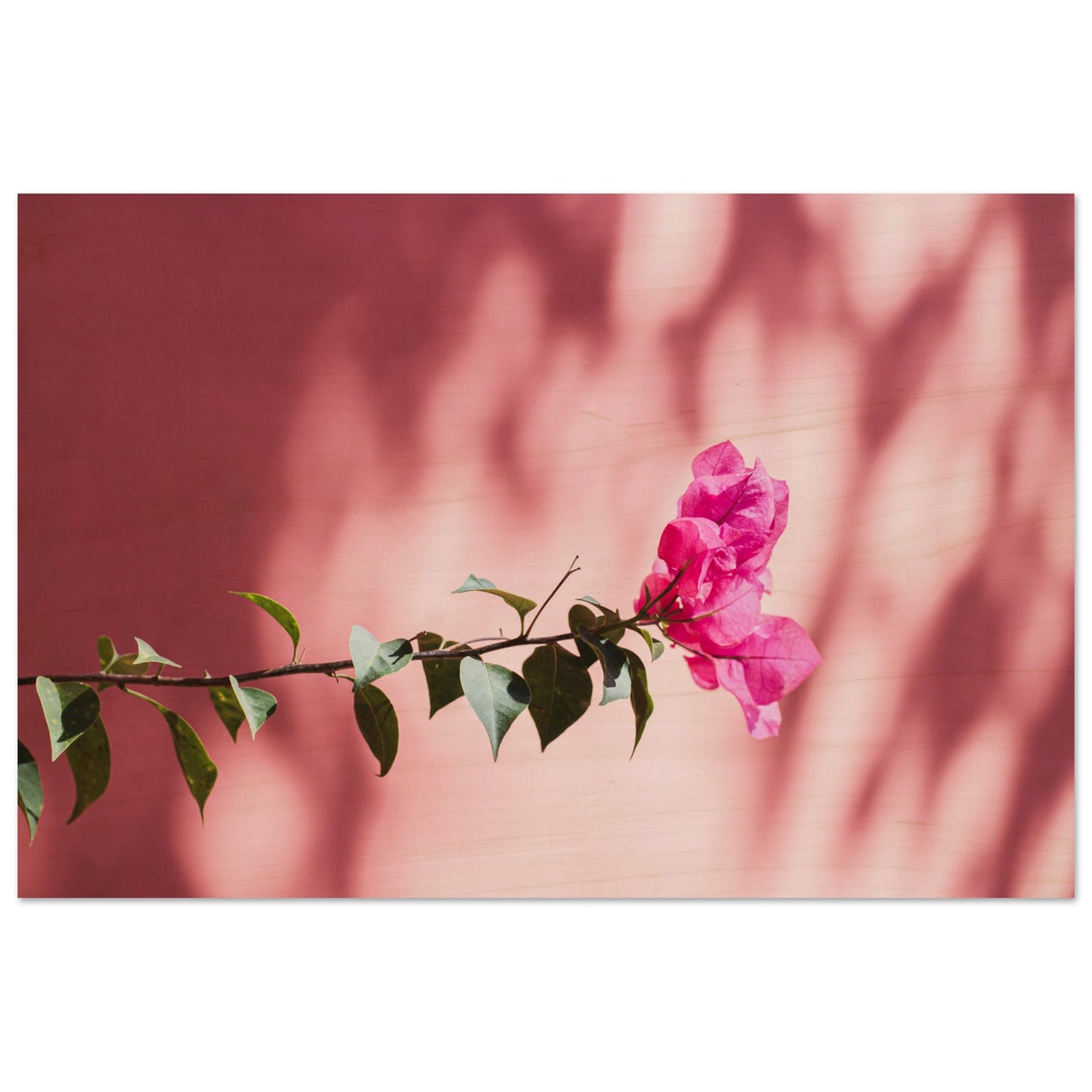 70a3f369-eb1e-4ee3-a230-fa80003e4bde