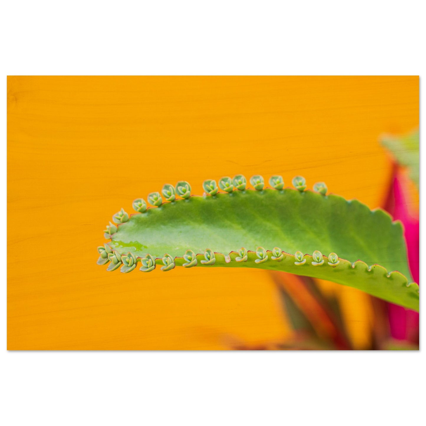 7fd1715c-cbd3-488f-8c98-9e62407def4c