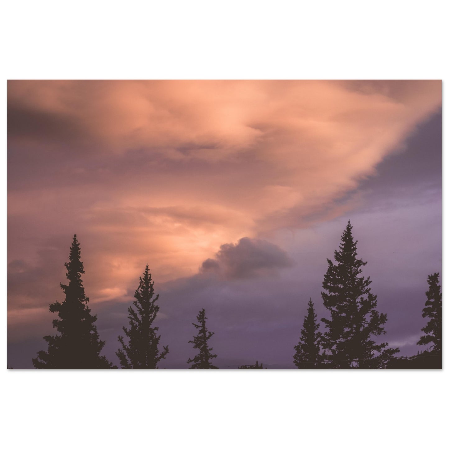 8851c17c-385e-4494-8cd6-49145309c61e