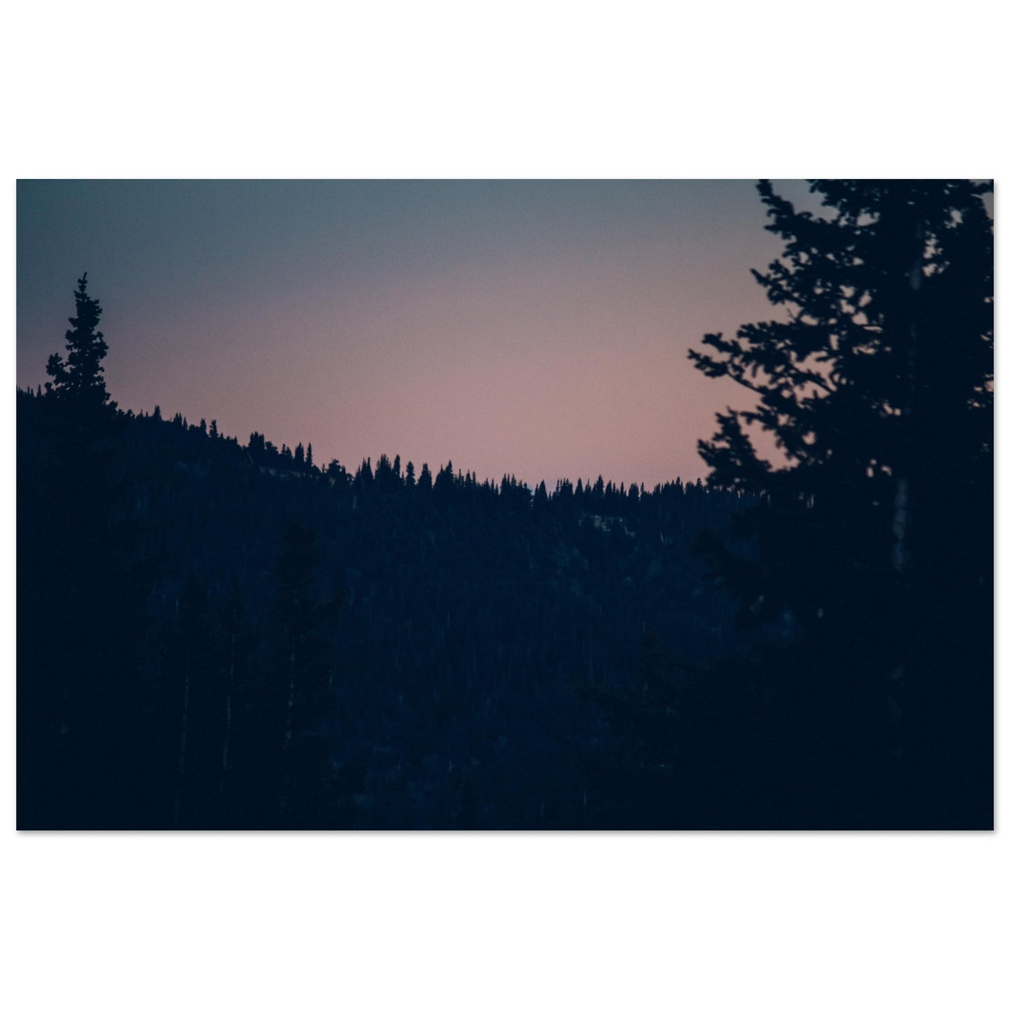 8940ebd7-a944-410e-91c9-8af3a327e599