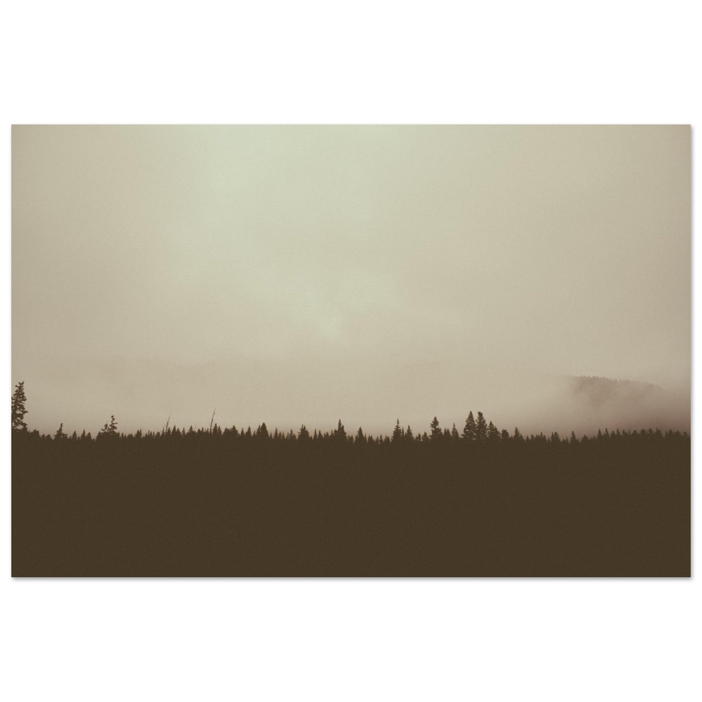 89b54fc8-02f7-46e2-bebc-728e9f58d61f