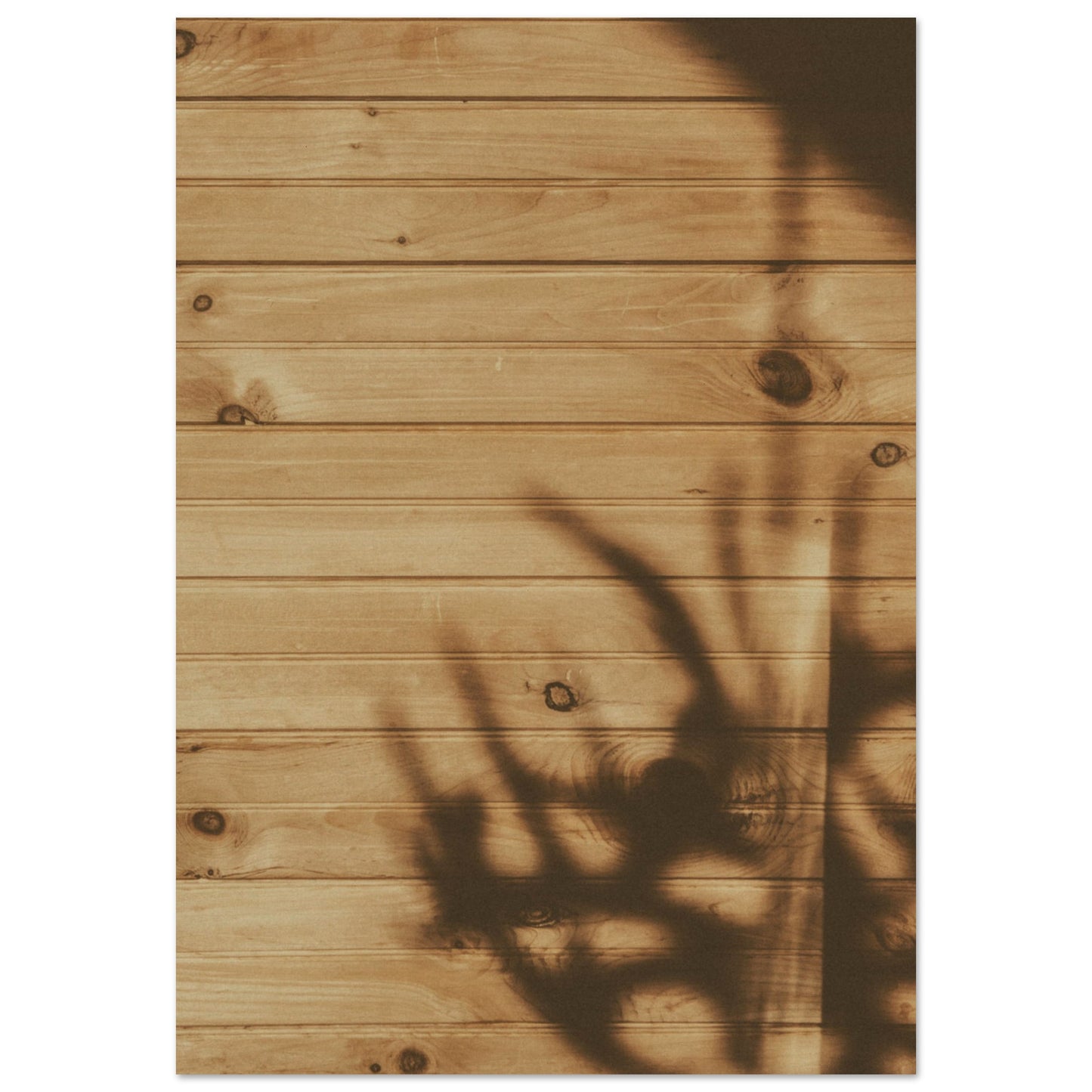 8c4b734a-bf2b-4865-8c22-e8fadaa59b3a