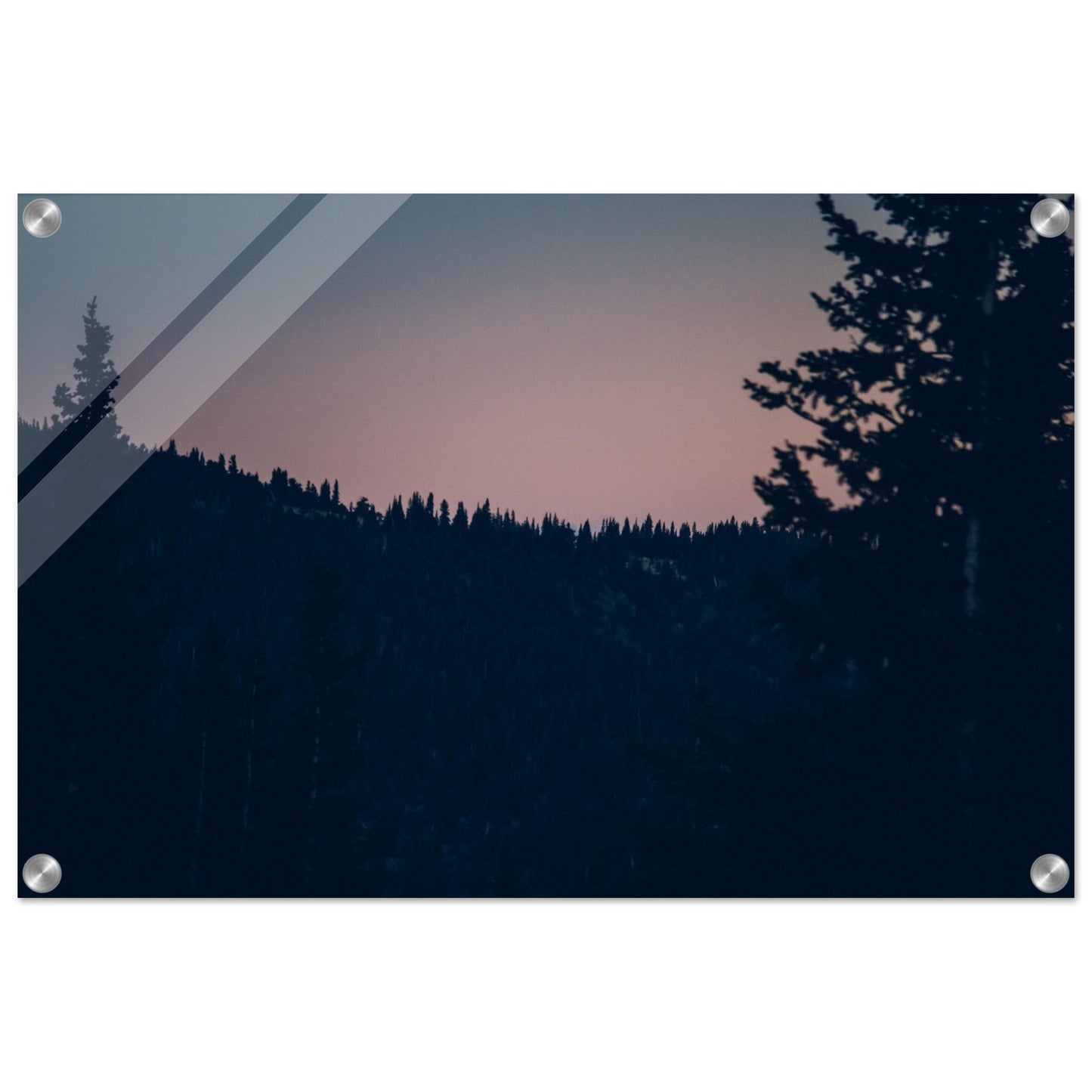 a51f8c23-ad55-44a1-8cd0-e15b3579ed7a