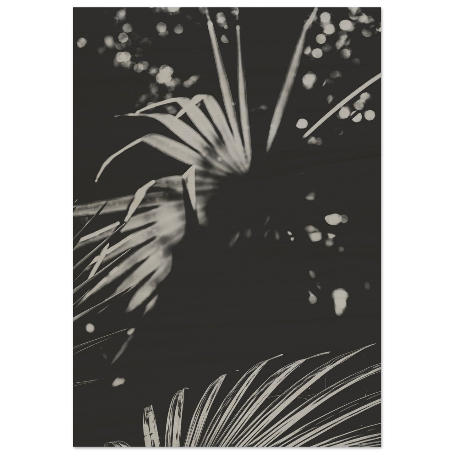 c5abdbe9-cc8f-4622-87c5-6f14d073dba6