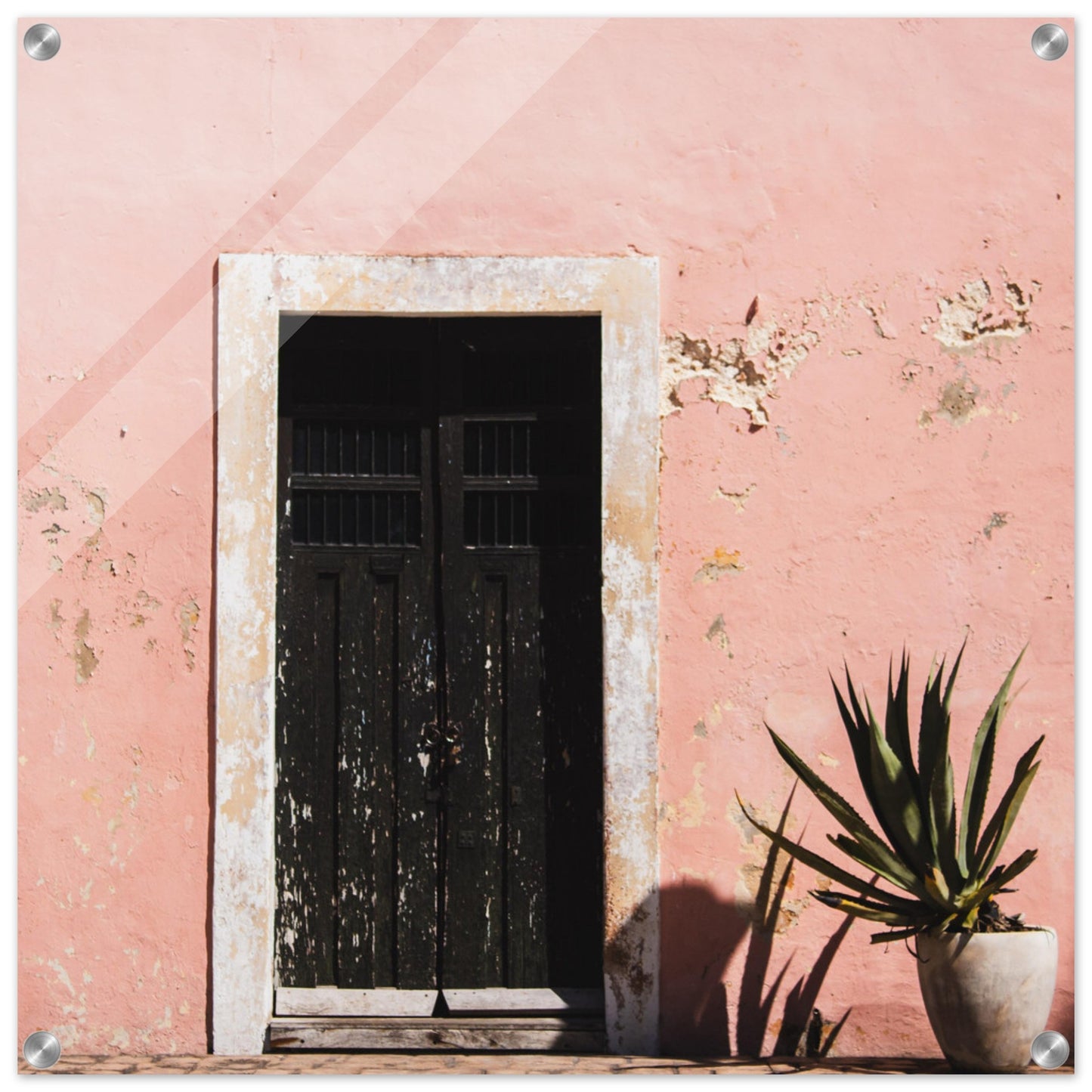 c9590d9a-bc81-4e68-81f3-9a956347f9a0