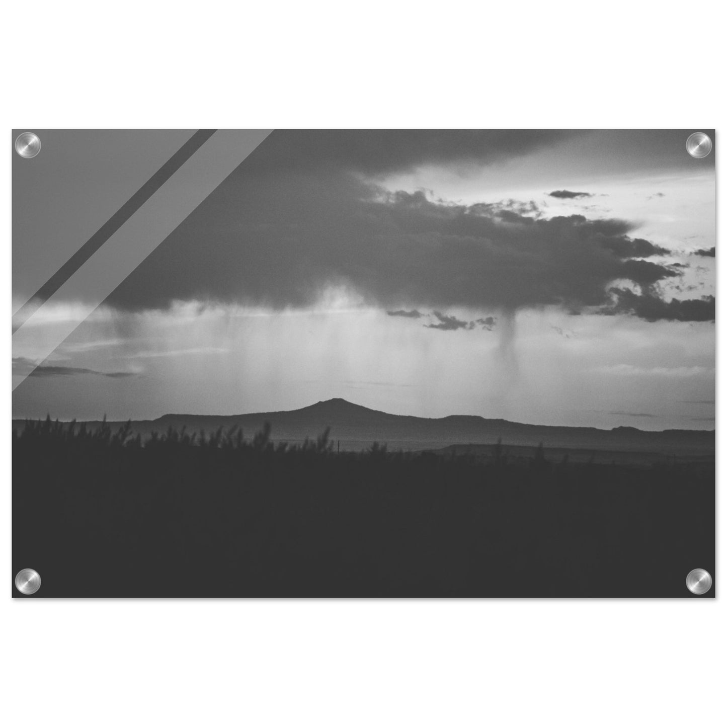 cc70d75b-1336-45fe-81d9-858a2f7005e4