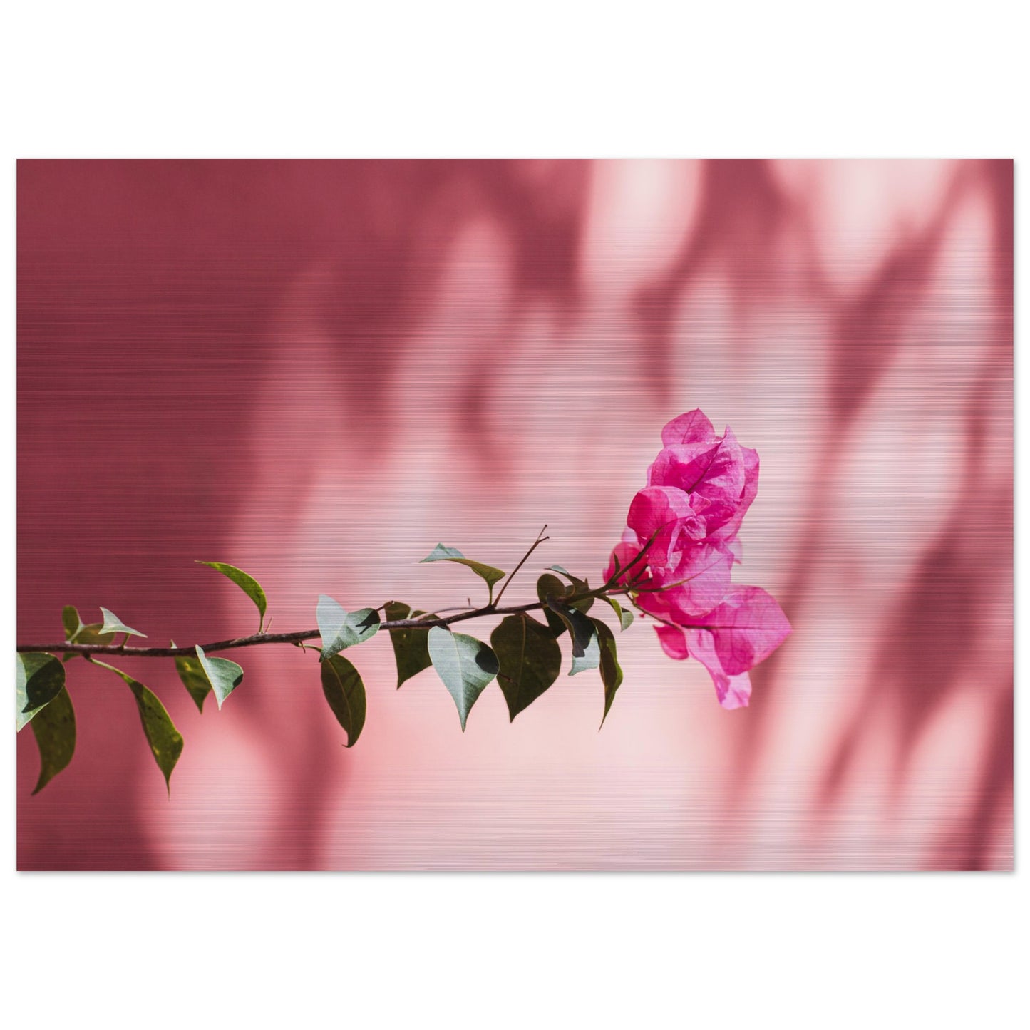 d532727d-bc90-49e7-8372-c4ddc05256c0