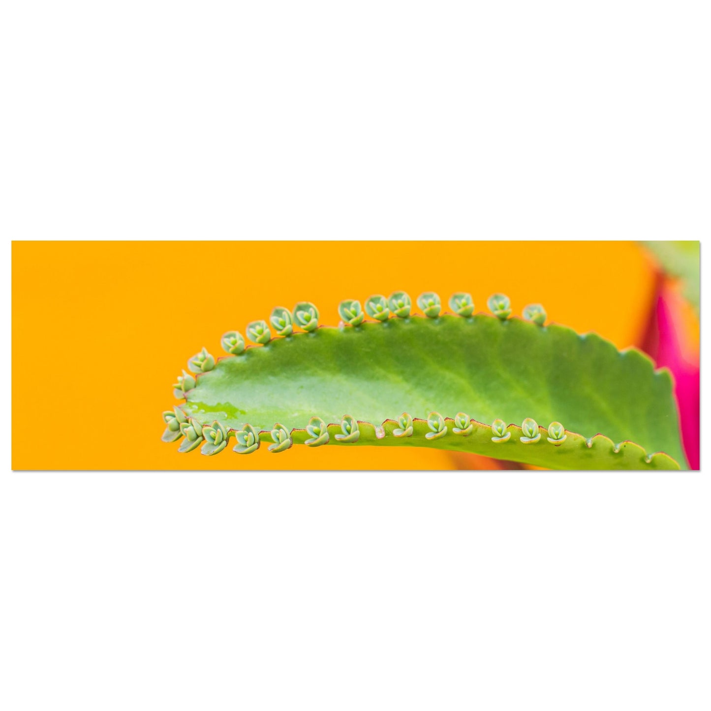 d7422653-3ee2-4738-9910-ad6030f9e77c