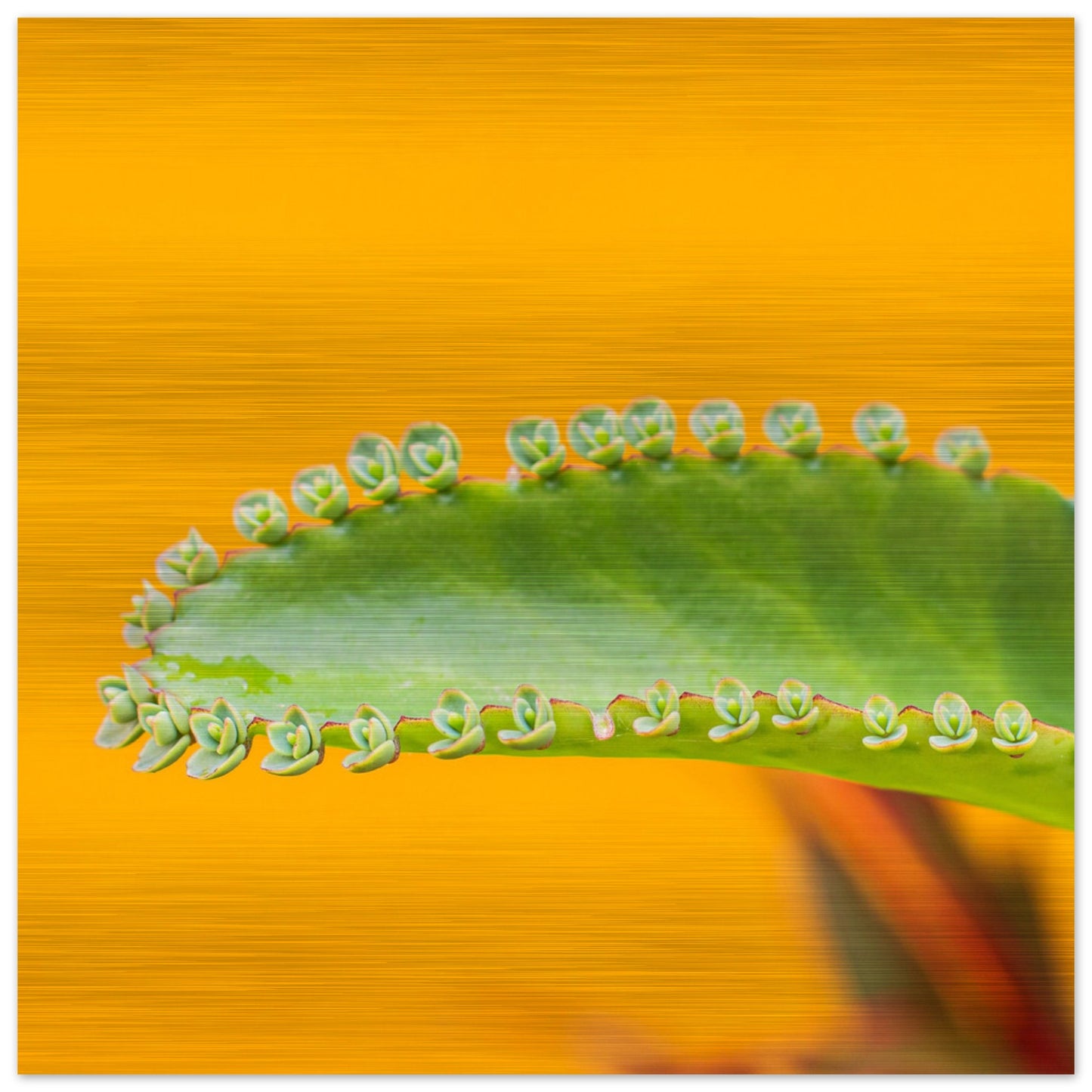 eca07a9d-641c-4621-8908-362135c82cfa