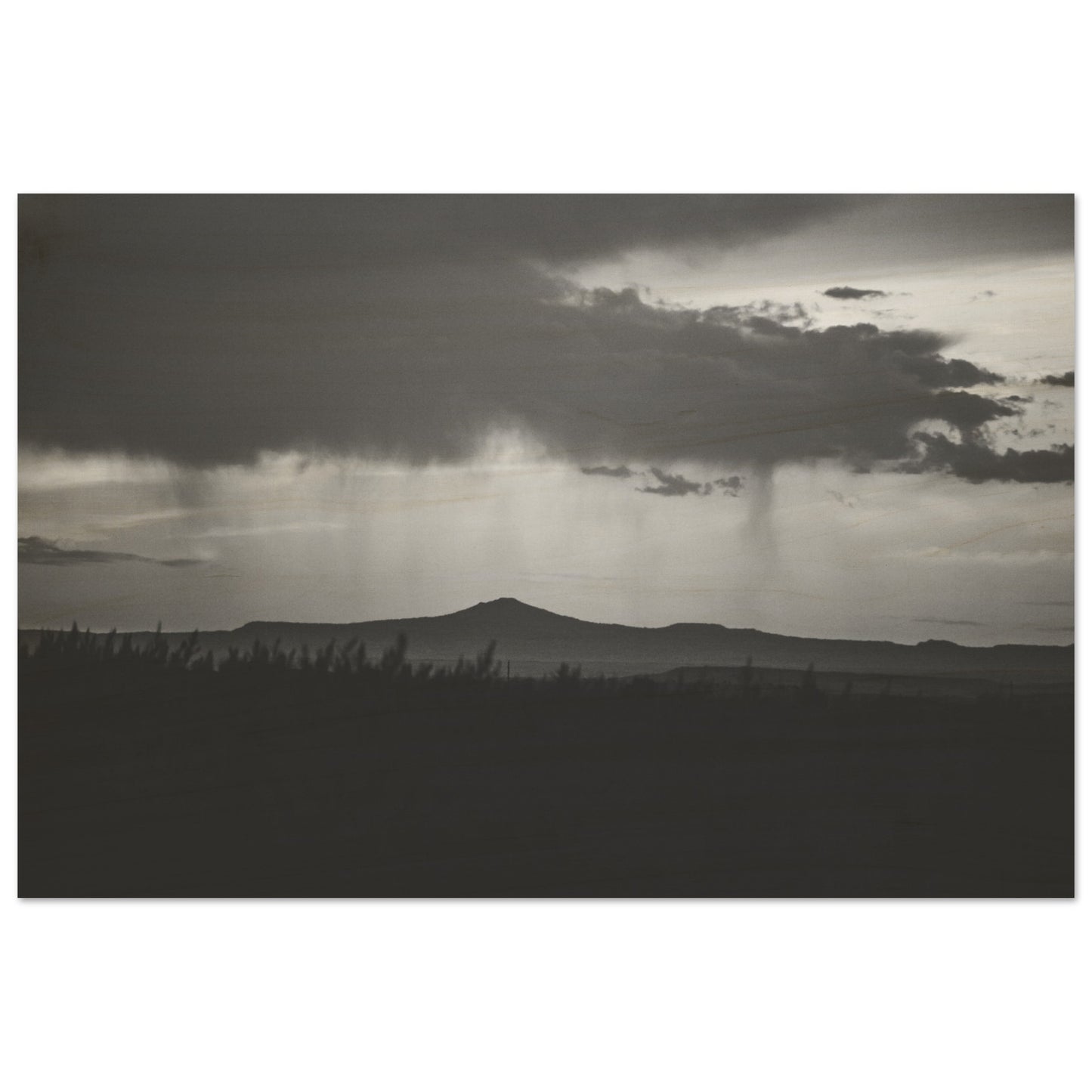 ff186716-6398-43dd-9657-8dd85d2ba63f